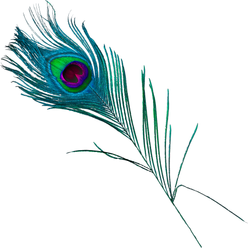 Peacock Feather